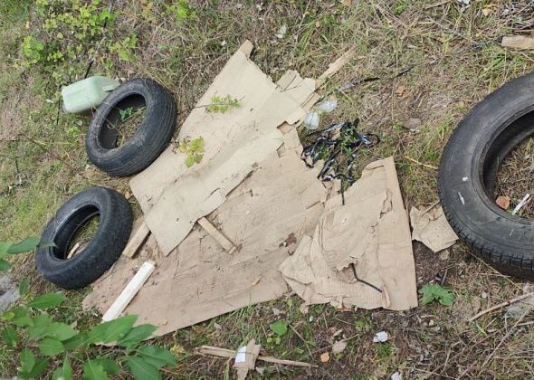 Горожане призывают не выбрасывать мусор и не справлять нужду возле детского сада №17