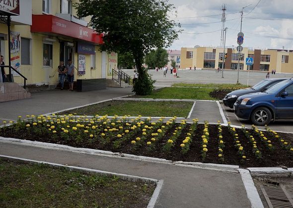 Озеленять Карпинск будет фирма из Нижнего Тагила