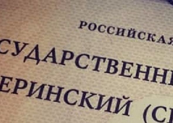 Узнать сведения об остатке материнского капитала через МФЦ можно будет за день