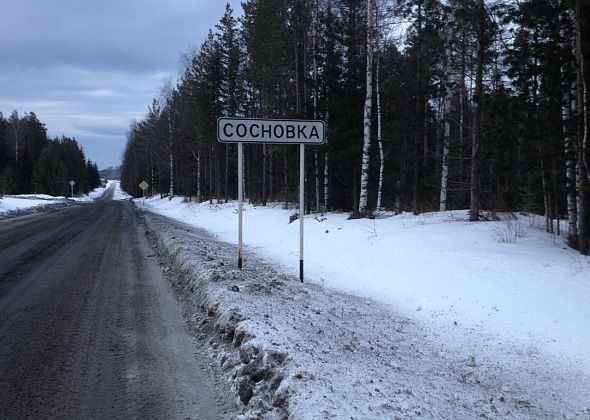 Муниципальную недвижимость в Сосновке продали в десять раз дешевле, чем планировали