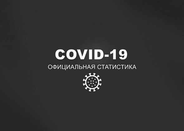 COVID. Заболеваемость в регионе упала почти до 200 случаев за сутки