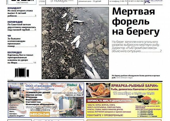 На берегу нашли дохлых рыб, ребенок выпал из окна, мужик «избивал» машины: читайте, чем жил Карпинск на прошлой неделе