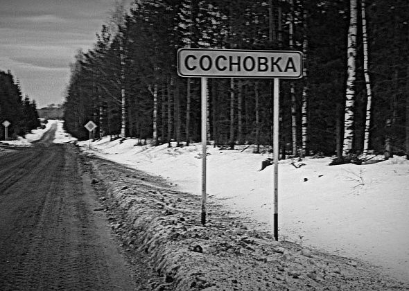 Обвиняемому в убийстве инвалида в Сосновке дали 16 лет строгого режима