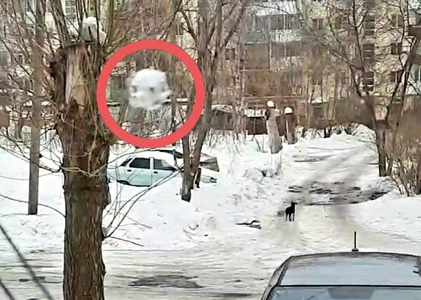 Жительница Карпинска пожаловалась на подростков, которые обстреляли ей окна