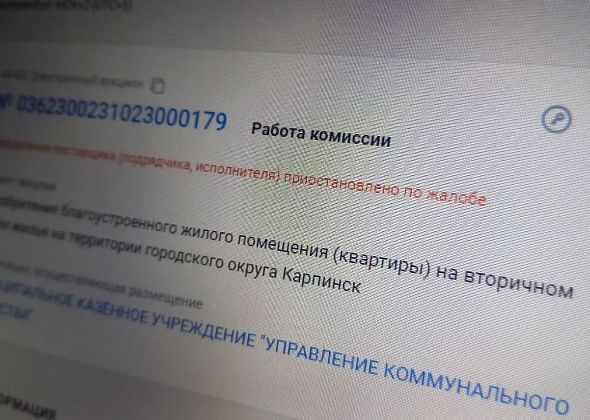 В ФАС поступила жалоба на безуспешный карпинский тендер по закупу благоустроенной квартиры