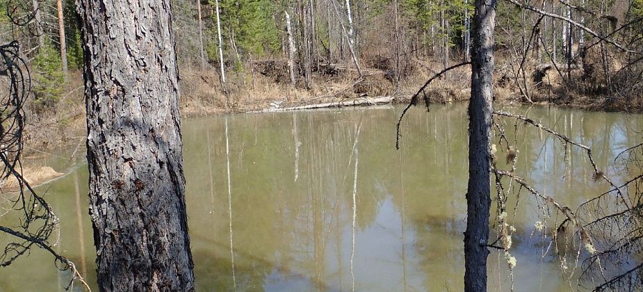 "Превышение по меди в 60 тысяч". Рыбак сделал анализ воды из Ольховки и Шегультана