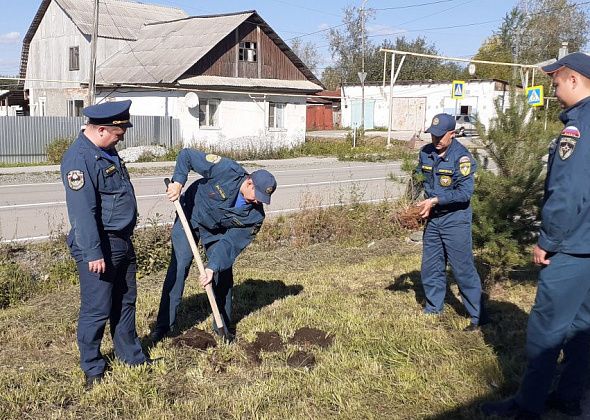 Карпинские пожарные посадили несколько деревьев на своей территории 