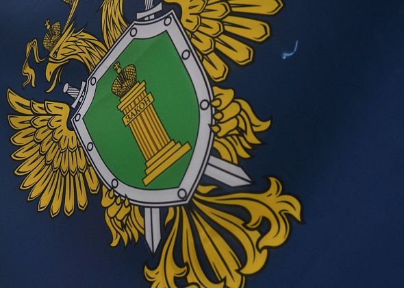 Заработала «горячая линия» прокуратуры. Горожане могут пожаловаться на нарушения социальных прав