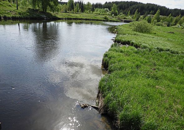 Вонючая традиция: на улице Республики снова поток канализационной воды идет в Турью