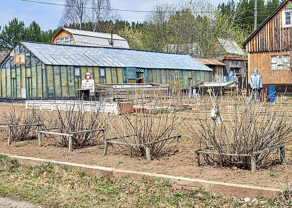 В Госдуме рассмотрят поправки в Гражданский кодекс о правах соседей по даче