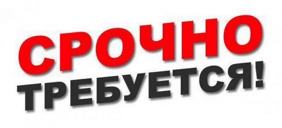 Организации требуются на постоянную работу дворники 