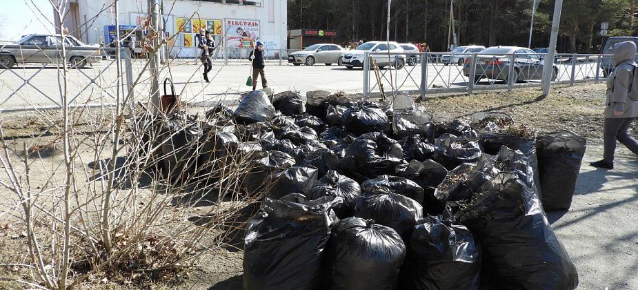 В городе начались субботники