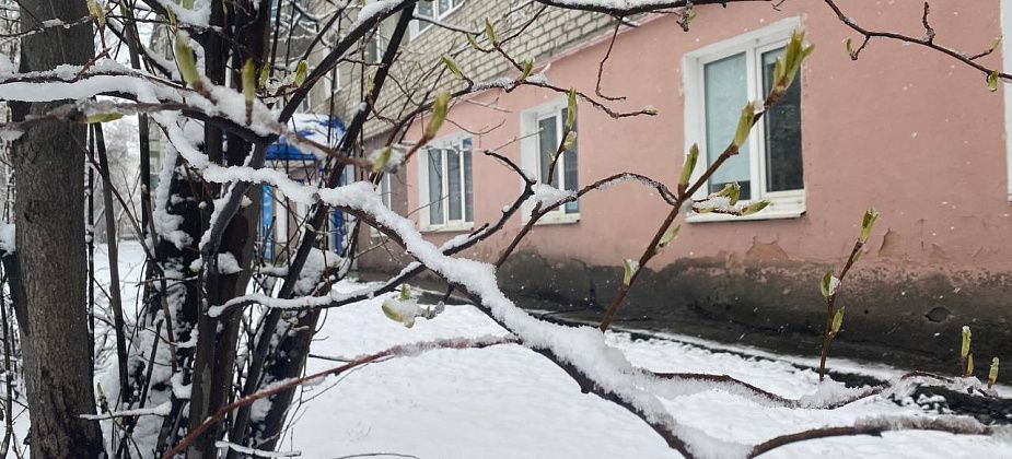 Синоптики прогнозируют снег, дождь и неустойчивую погоду