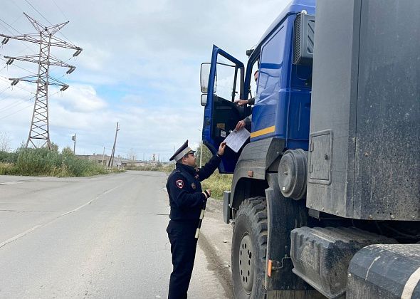 Сотрудники ГИБДД выявили почти два десятка нарушений у водителей большегрузов