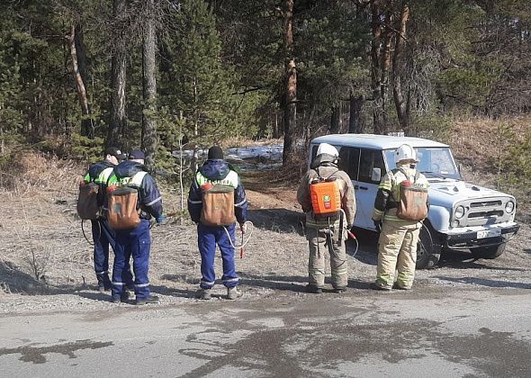 В Карпинске прошли массовые учения по ликвидации лесного пожара