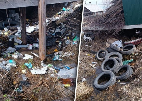 Жильцы частного сектора по Карла Маркса жалуются на навалы мусора у контейнерных баков