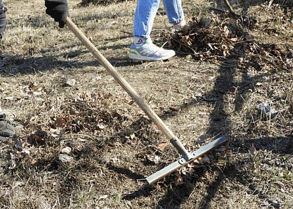 Пора зарабатывать: молодых карпинцев приглашают записаться в трудовой лагерь