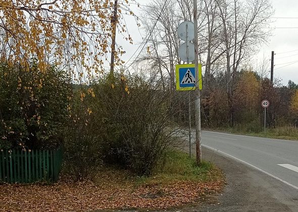 В Карпинске приведут в порядок кустарную растительность