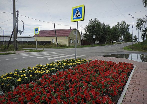 В Карпинске пока не могут найти подрядчика для посадки цветов в городе