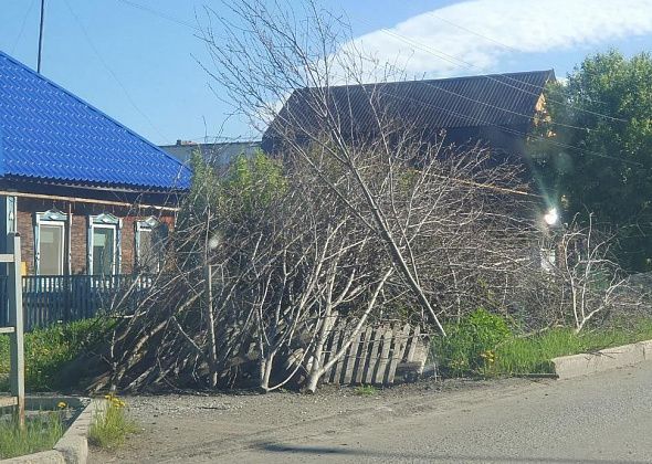 Городские власти оштрафовали подрядчика за неубранные ветки и заставили все убрать до завтра 