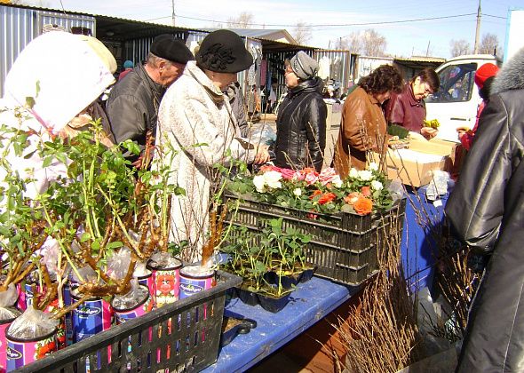 В Карпинске пройдут сельскохозяйственные ярмарки