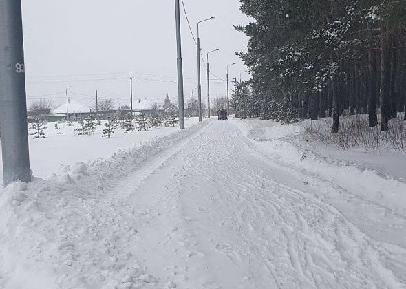 Некоторые пожилые карпинцы считают, что им «тропа здоровья» в парке важнее, чем лыжникам