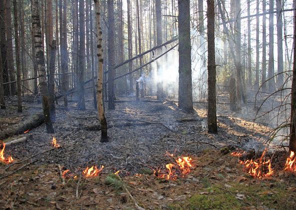 Сохраняется режим повышенной готовности в условиях сложной пожарной обстановки