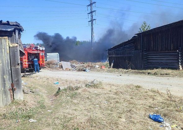 В Карпинске загорелась помойка, а от нее — сухая трава