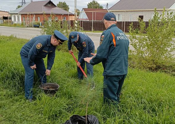 Карпинские пожарные посадили деревья и провели экологический субботник