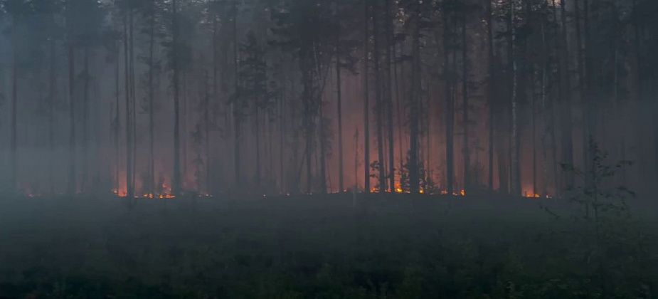 От пожара в районе трассы Карпинск-Кытлым пострадало более 20 гектаров леса