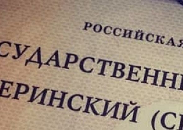 В Госдуме предложили разрешить тратить маткапитал на автомобили