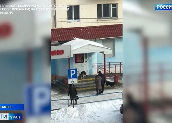 Проблему с нападениями собак на детей в Карпинске озвучили на федеральном канале