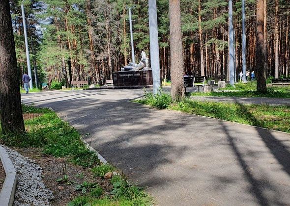 Уличное освещение включили во всем городе, кроме Комсомольского парка