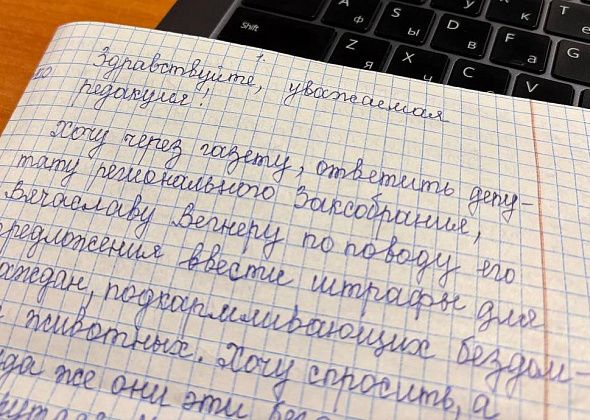 Жительница Карпинска высказалась об идее депутата ЗакСо ввести штрафы за кормежку бездомных собак
