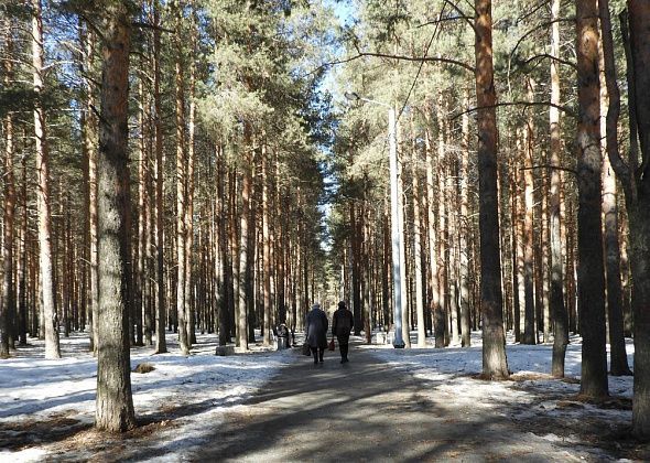 В полиции усилили контроль за пьяными в парках. Мэр предложил называть их фамилии в СМИ