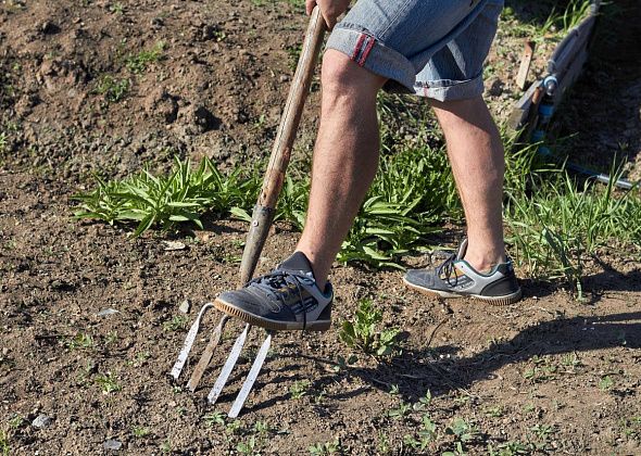 В Госдуме предложили продлить майские выходные до 10 дней