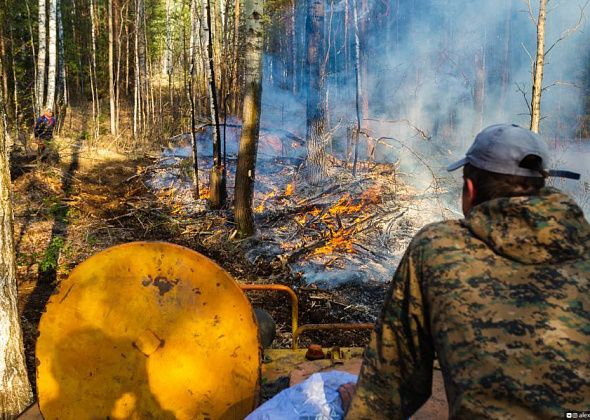 За выходные в лесах Свердловской области было потушено более 30 лесных пожаров