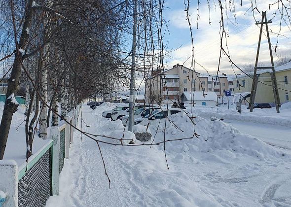Горожанку очень возмутили ветки, которые можно задеть прогуливаясь по тротуару