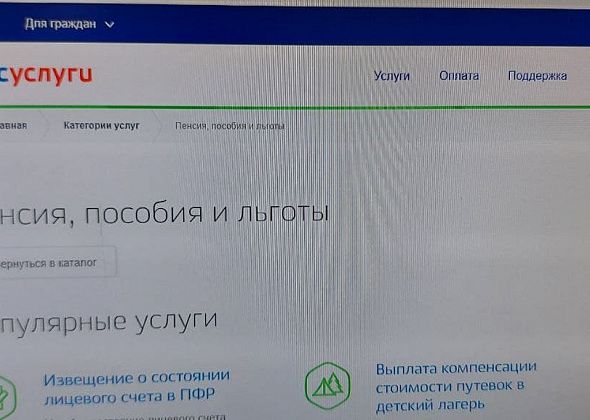 Россиян начнут информировать о предполагаемом размере пенсии