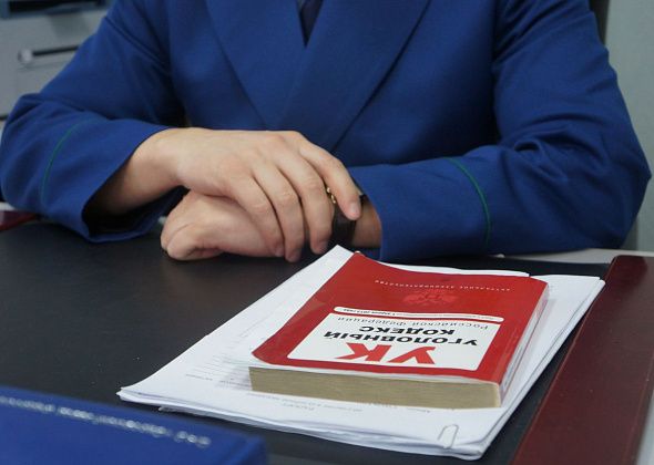 По факту обнаружения истощенной девочки возбуждено еще одно уголовное дело - за "истязание"