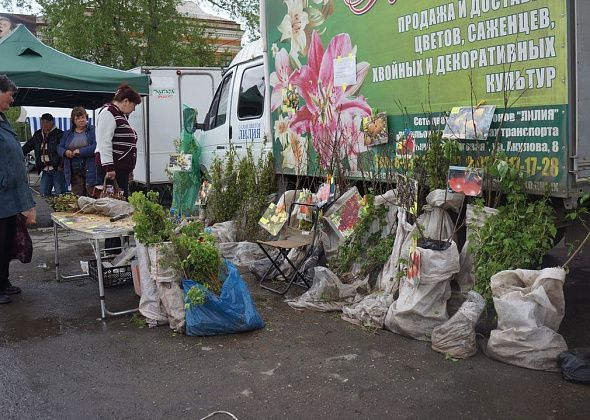 Мэрия утвердила даты городских ярмарок на сентябрь