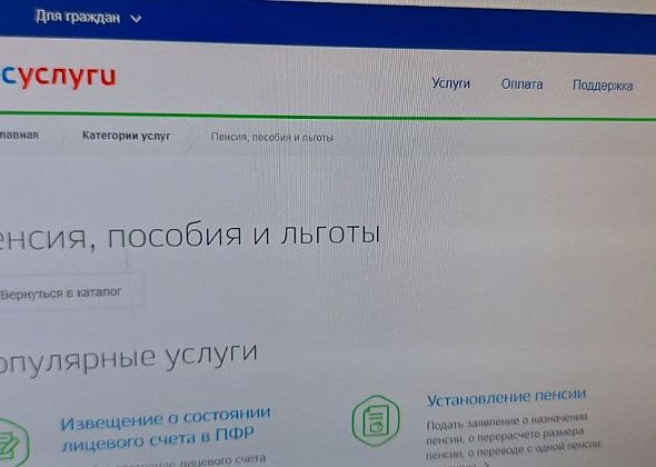 Социальные выплаты через портал госуслуг можно будет получать автоматически