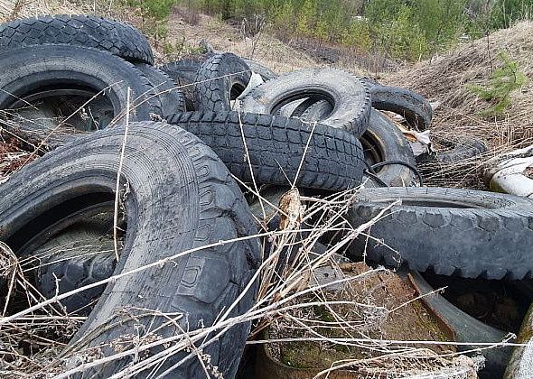 В Карпинске уберут нелегальные свалки